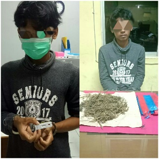 Coba Sembunyikan Daun Ganja Di Pinggang, Pelaku Tak Berdaya saat Digeledah Polisi 
