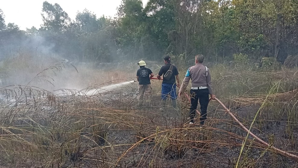 270 Hotspot Terdeteksi di Riau, Inhu Jadi Penyumbang Terbesar