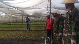 Pangkops AU Kunjungi Kebun Sayur Lanud RSN