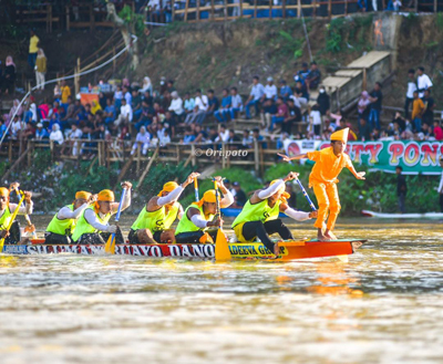 Langkah Siluman Buayo Danau Jawara di Tepian H Saidina Ali Kuantan Mudik