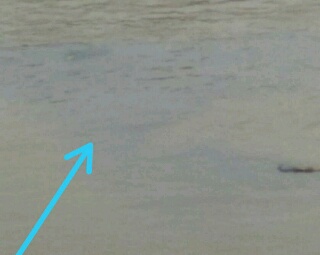 Limbah PT TSS Rengat Diduga Cemari Sungai Indragiri