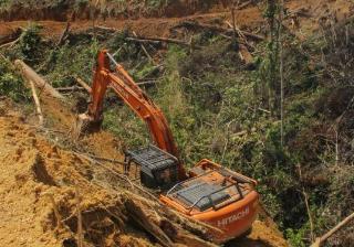 Diduga Merambah Hutan, Jajaran DLHK Riau Tangkap Ekskavator Dekat TNTB
