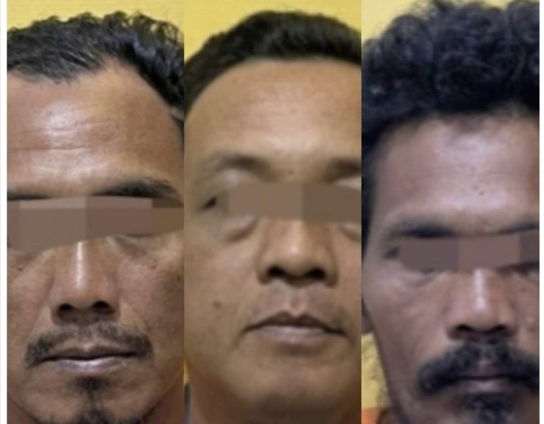 Jual Kawasan HPT Berujung Karhutla, Oknum Aparatur Desa di Inhu Diringkus Polisi