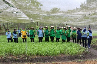 Penasehat DWP Provinsi Riau Kunjungi Kebun PIA Ardhya Garini Lanud Roesmin Nurjadin 