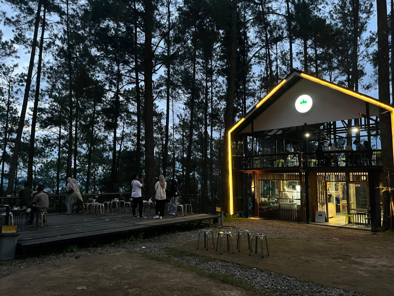 Folka Coffee Sikabu-kabu: Tempat Nongkrong dengan Pesona Hutan Pinus di Limapuluh Kota Sumbar
