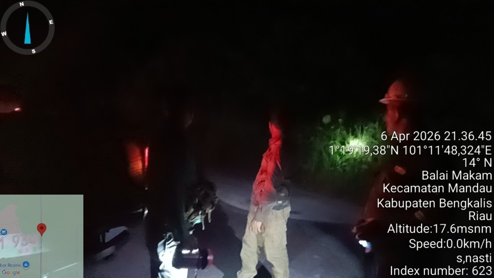 Soal Harimau Sumatera Muncul di Area PT PHR Duri Field, Begini Penjelasan BBKSDA Riau