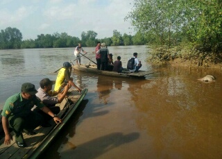 Sesosok Mayat Ditemukan Mengapung di Sungai Enok
