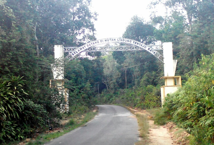 Kades Koto Sentajo Himbau Warga Antisipasi Kebakaran Hutan Lindung