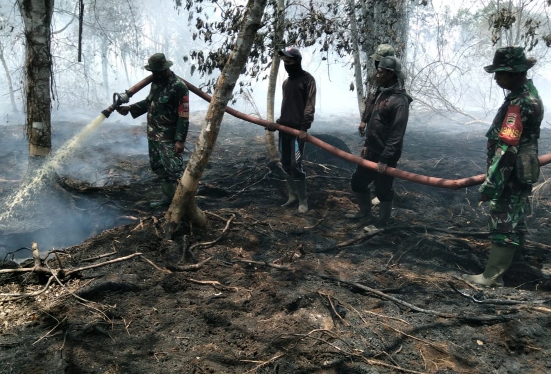 Lima Hektar Lahan Terbakar, Personil Gabungan Lakukan Pemadaman dan Pendinginan