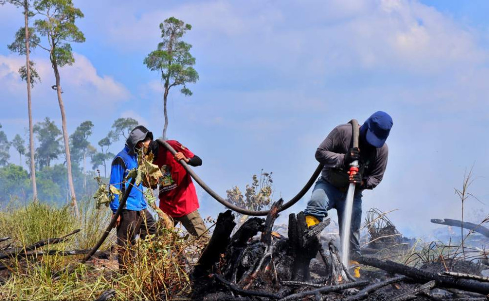 Terpantau Aplikasi DLK, Tidak Hanya Paru-paru Dunia Giam Siak Kecil, Kawasan TNTN di Riau Turut Hangus Terbakar