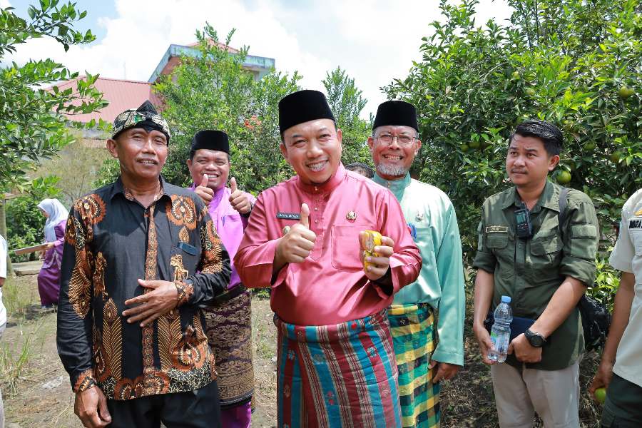Wabup Husni: Kerja Keras Pak Sobihin Jadi Motivasi Tanam Jeruk Menjanjikan