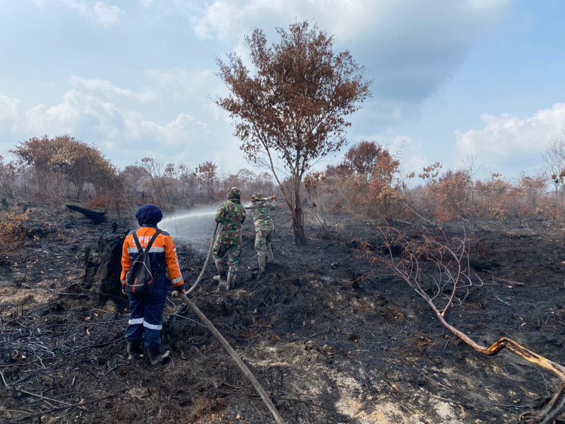 Karhutla di Inhu Berhasil Diatasi, Tim Gabungan Lakukan Pendinginan
