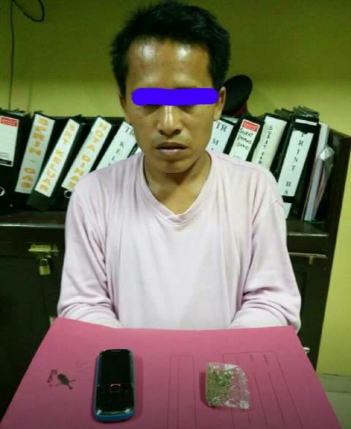 Edarkan Ganja Kering, Warga Kuantan Hilir Seberang Ditangkap Polisi