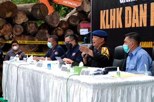 Polda Riau dan KLHK Tindak 19 Sawmill Penampung Kayu Ilegal di Kabupaten Kampar