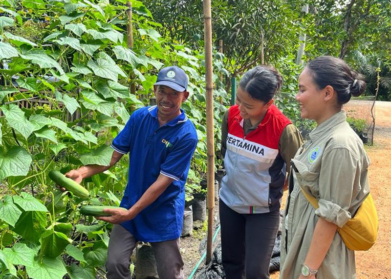 Efek Berganda Pemanfaatan Biogas di Desa Energi Berdikari Binaan PHR