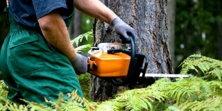 PT SS di Inhu Ternyata Sudah Pernah Dikenakan Sanksi Administratif 