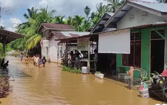 Ratusan Rumah di Rohul Terendam Banjir, Sungai Batang Lubuh Meluap