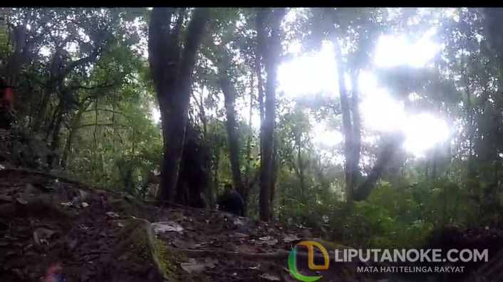 Solo Hiking, Satu Pendaki Tersesat di Gunung Talang Sumbar