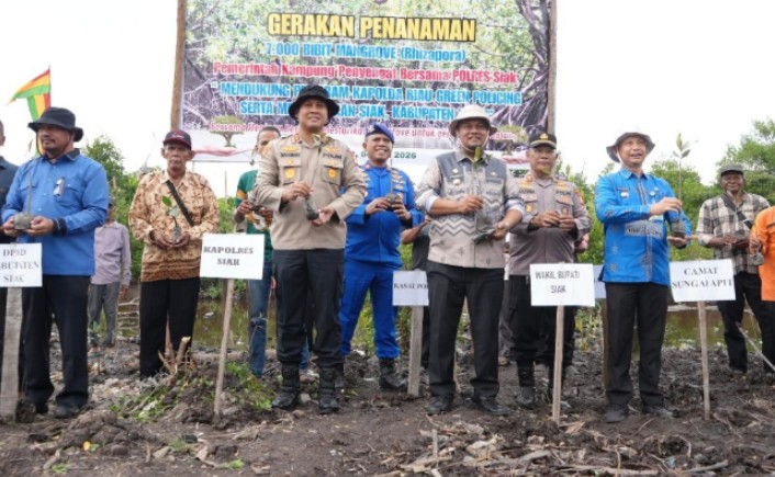 Cegah Abrasi di Pesisir Kabupaten Siak, Polres Siak-Pemerintah Kampung Tanam 7000 Bibit Mangrove