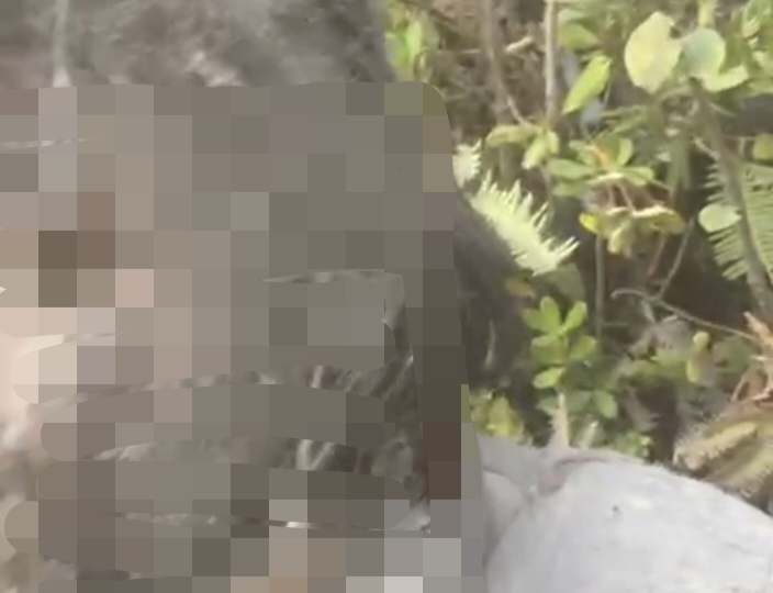 Beredar Video Seorang Mahasiswi Terjebak Melawan Maut di Gunung Marapi Sumbar