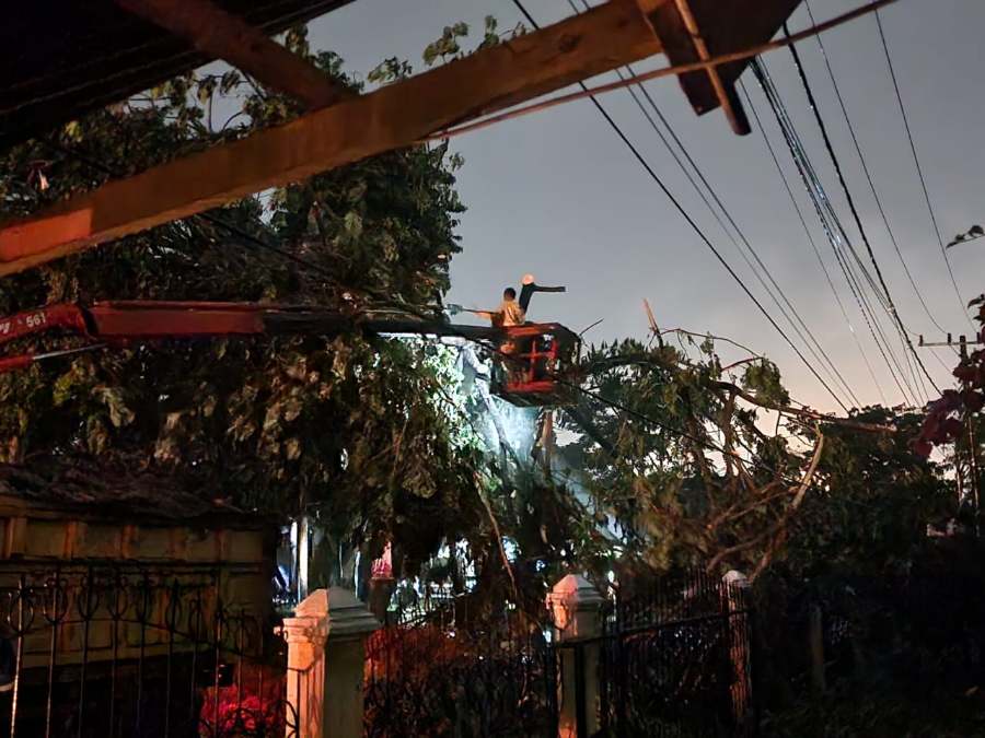 Listrik Rumah Warga Pekanbaru Padam, PLN Gerak Cepat Tangani Pohon Tumbang