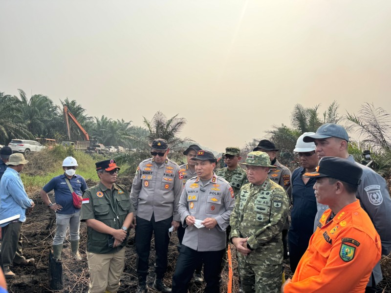 Tinjau Karhutla Inhu, Kapolda Riau Tekankan Kolaborasi hingga Restorasi