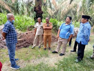 Masyarakat Inhu Riau dan PT Arvena Saling Klaim Lahan Sawit, Pemkab Inhu Cek Lokasi