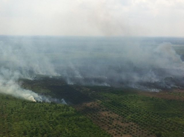 29 Titik Panas Terpantau di Sumatra, Riau Nihil