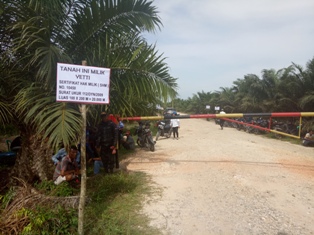 Anggota DPRD Minta Pemkab Siak Cabut Izin PT.DSI