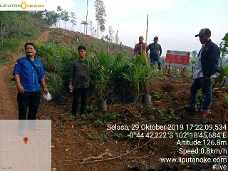 Fakta Aneh, Bibit Sawit Ditemukan Menumpuk di Dekat Papan Segel KLHK 