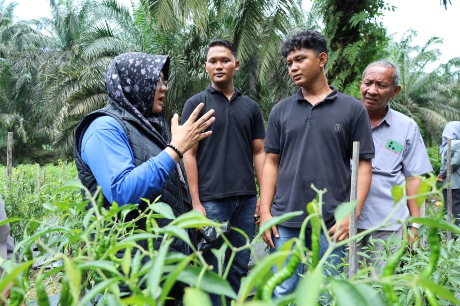Dialog Bersama Kelompok Tani, Bupati Siak Janji Tindaklanjuti Keluhan Petani dan Peternak