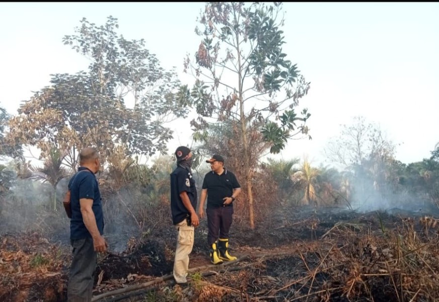 BMKG: 91 Titik Panas Terdeteksi di Riau, Inhu dan Inhil Penyumbang Terbesar