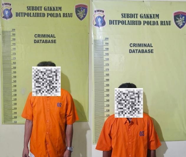 Polda Riau Gagalkan Pengangkutan 30 Ton Kayu Ilegal di Meranti, Dua Orang Diciduk