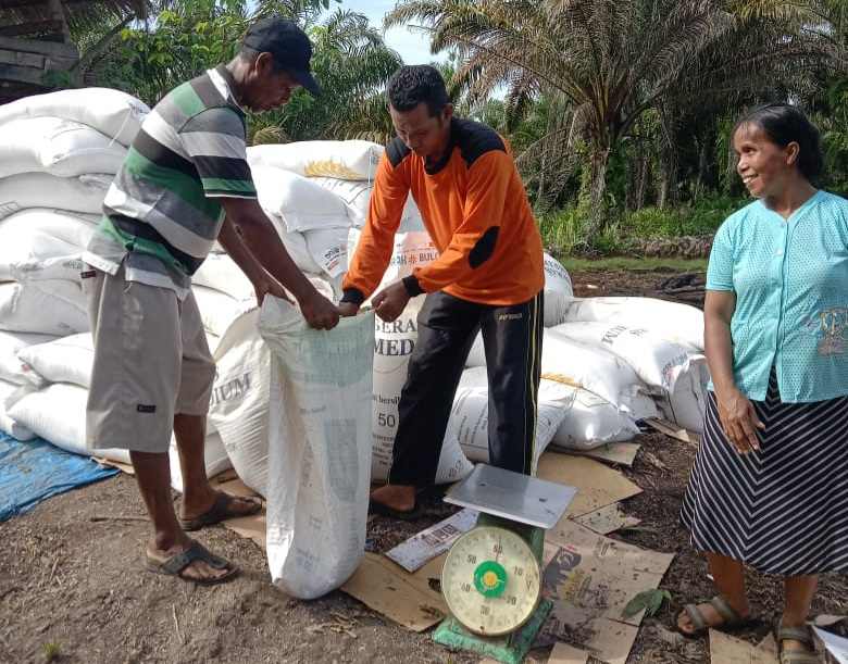 Pemdes Pasir Emas Salurkan Bantuan 23 Ton Lebih Beras ke Masyarakat Terdampak Banjir