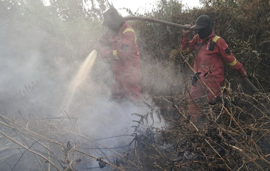 Hari Ke-10: Api Masih Berkobar di Sungai Guntung Hilir Inhu, Lahan Gambut dan Sawit Warga Terbakar