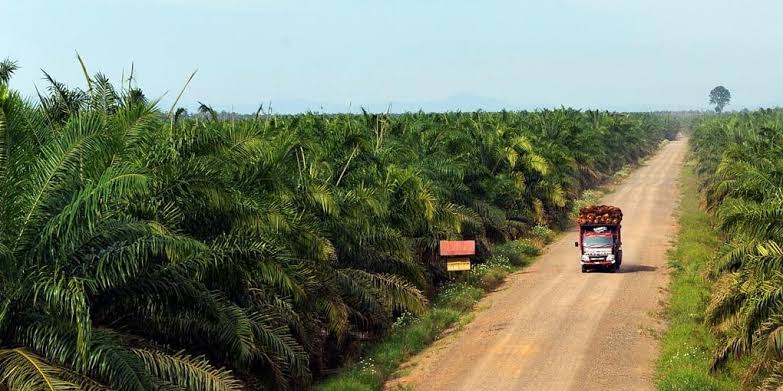 PT Eka Dura Indonesia Pastikan Kewajiban Perusahaan Membangun Kebun Plasma untuk Masyarakat Telah Tuntas