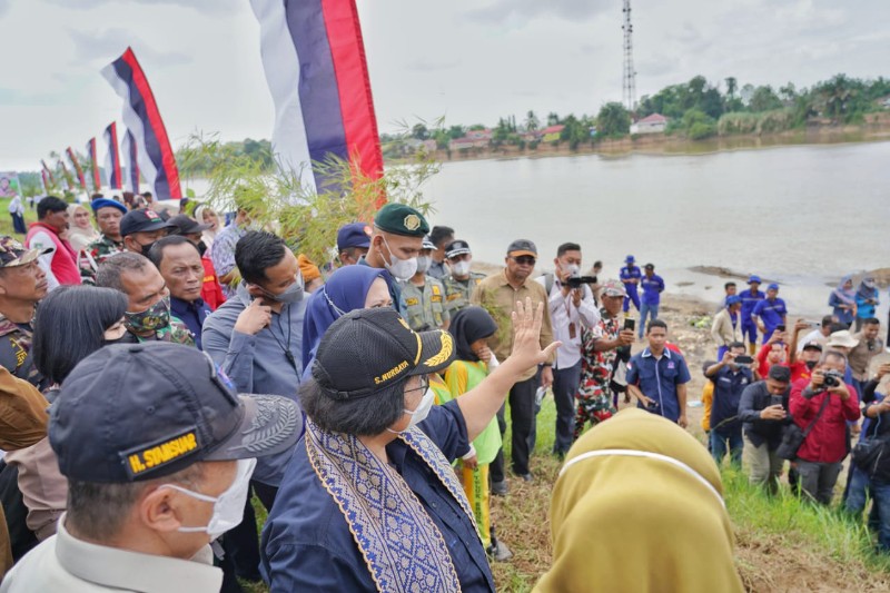 Cegah Abrasi, Gubri dan Menteri LHK Tanam Pohon di Tepian DAS Indragiri