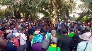 Ratusan Massa di Inhu Hampir Bentrok dengan Security, PT. Banyu Bening Utama Didesak Kembalikan Lahan Masyarakat