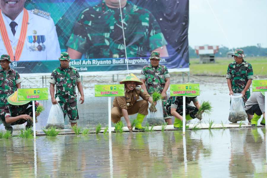Tanam Padi Bersama Bupati Alfedri Irjen AD Letjen Erwin Djatmiko Tutup Kegiatan TMMD Ke 119