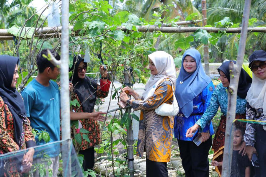 Lomba 'Aku Hatinya PKK', Dorong Pemanfaatan Pekarangan untuk Ketahanan Pangans