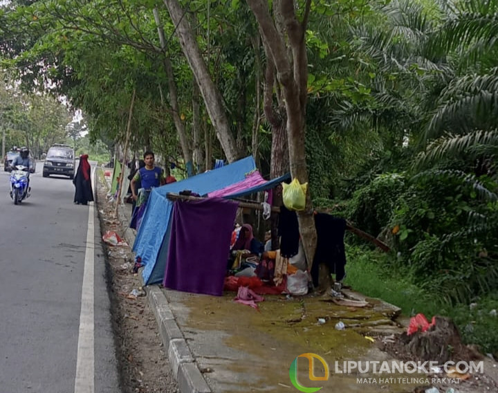 Terlantar, 129 Warga Rohingya Tidur dalam Tenda Plastik di Trotoar Jalan