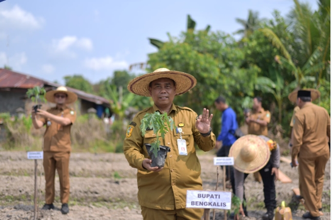 Bupati Kasmarni Terus Dorong Produktivitas Pertanian di Negeri Junjungan