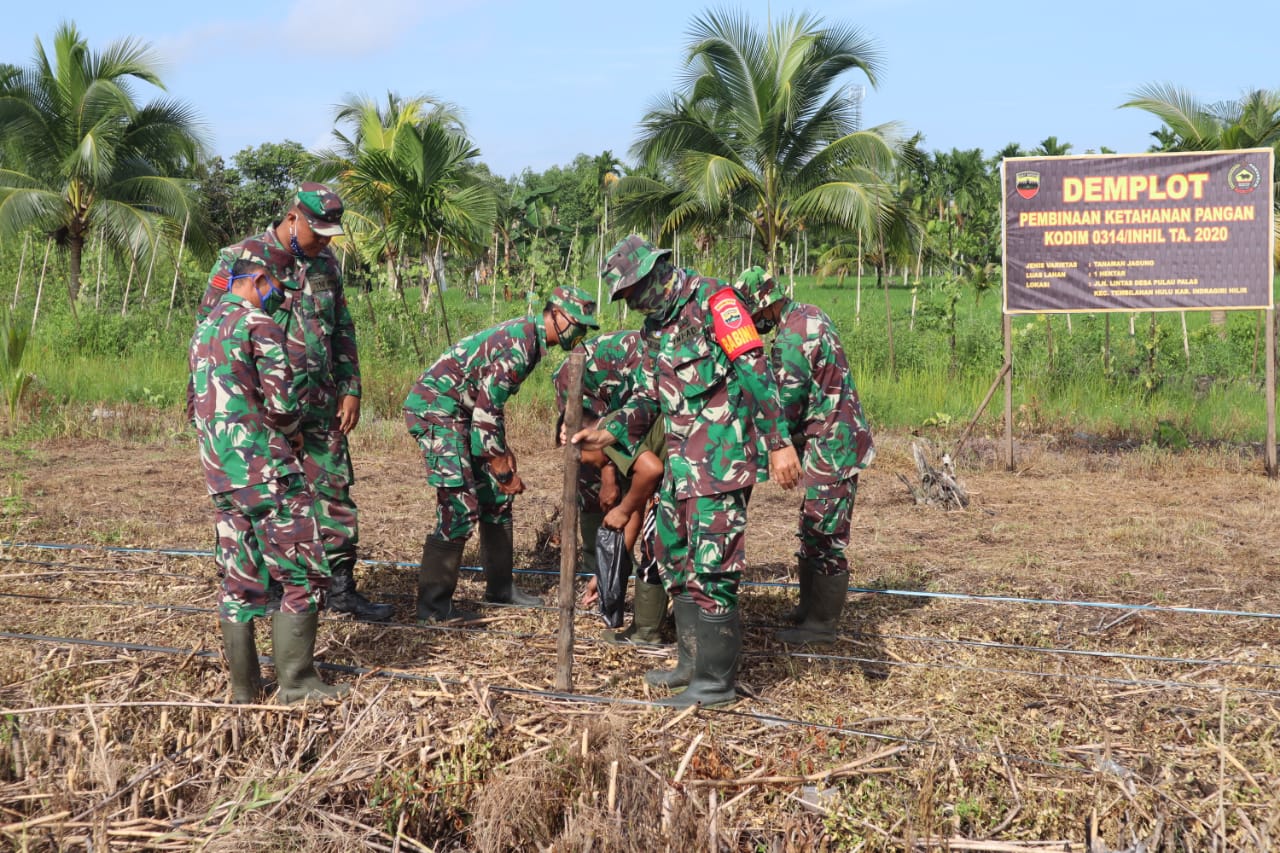 Kodim 0314/Inhil Buat Lahan Demplot Pembinaan Ketahanan Pangan di Tembilahan Hulu