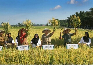 Syamsuar: Hidupkan Kembali Budaya Gotong Royong