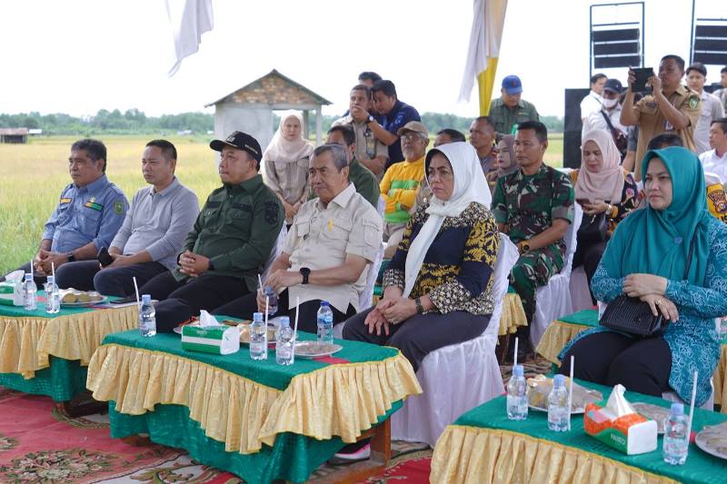 Panen Raya Padi di Siak, Gubri Syamsuar Serahkan Bantuan Untuk Kelompok Tani