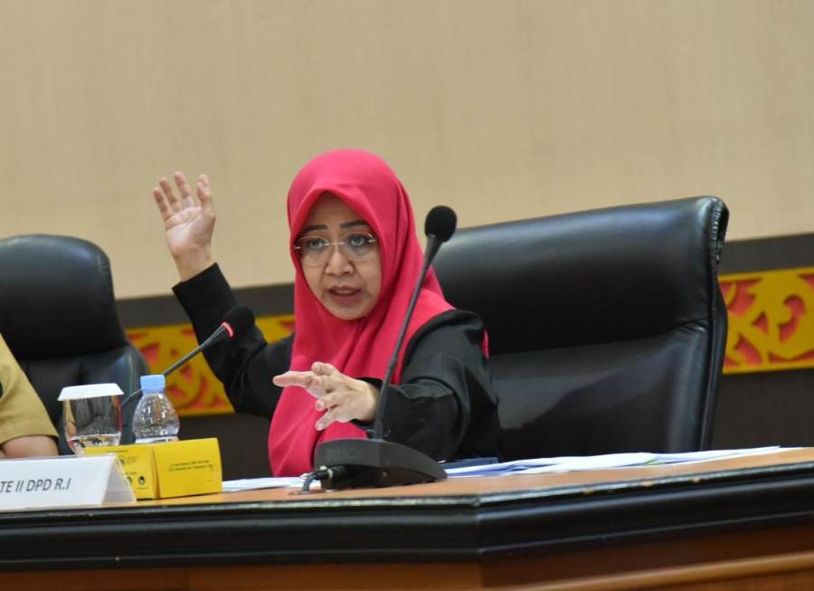 Data Suara Tak Sinkron, Senator Asal Riau Nilai Real Count KPU Menyesatkan dan Bikin Gaduh