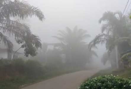 Dua Desa di Kuansing Riau Diselimuti Asap Tebal, Harus Menyalakan Lampu Saat Berkendara