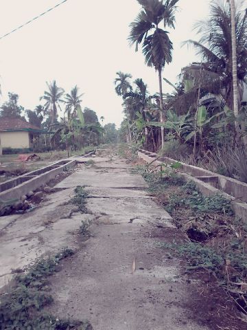 Warga Keluhkan Kerusakan Jalan Selamat Alahair Timur
