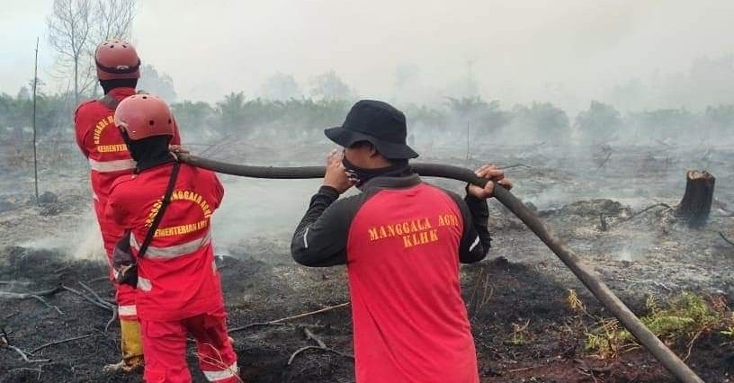 Sebagian Wilayah Diguyur Hujan, Hotspot di Riau Hanya Tersisa 4 Titik