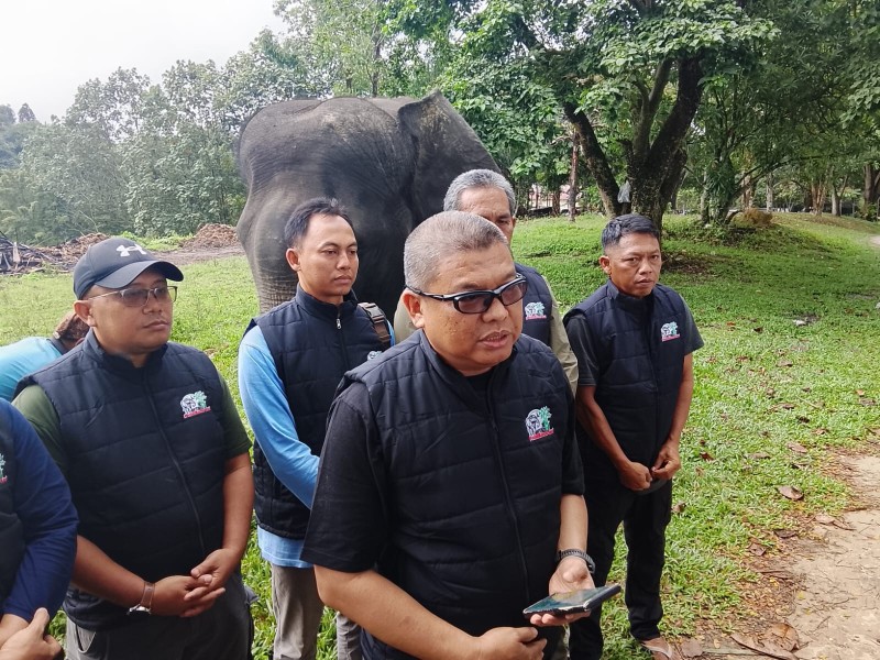BBKSDA Riau Perkuat Sinergi Konservasi Lewat Bincang-Bincang Gajah Sumatera di PLG Minas